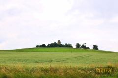 BISMARCKTURM_RONNEBURG_001