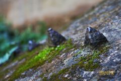 BISMARCKTURM_ALTENBURG020