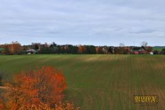 BISMARCKTURM_GRIMMA_023