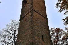 BISMARCKTURM_NEUSTADT-ORLA019