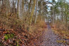 BISMARCKTURM_TAUBERBISCHOFSHEIM_001