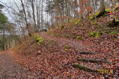 BISMARCKTURM_TAUBERBISCHOFSHEIM_004