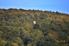 BISMARCKTURM_WEIssENBURG_020