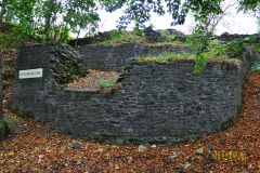 BURGRUINE_HARZBURG008