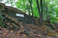 BURGRUINE_HARZBURG009