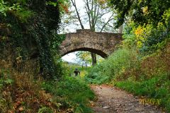 BURGRUINE_HARZBURG011