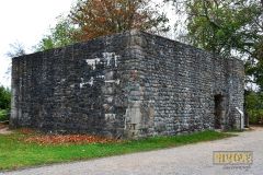 BURGRUINE_HARZBURG018