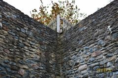 BURGRUINE_HARZBURG024