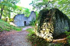 BURGRUINE_LEIENFELS_002