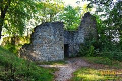 BURGRUINE_LEIENFELS_003
