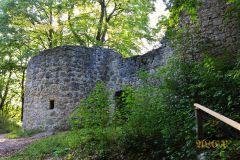 BURGRUINE_LEIENFELS_004