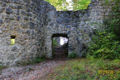 BURGRUINE_LEIENFELS_005