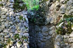 BURGRUINE_LEIENFELS_006