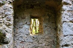 BURGRUINE_LEIENFELS_009