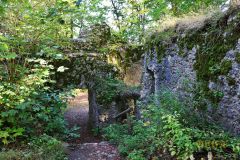 BURGRUINE_LEIENFELS_010