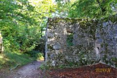 BURGRUINE_LEIENFELS_011