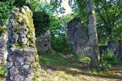 BURGRUINE_LEIENFELS_012