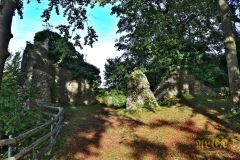 BURGRUINE_LEIENFELS_013