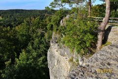 BURGRUINE_LEIENFELS_016