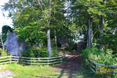 BURGRUINE_LEIENFELS_020