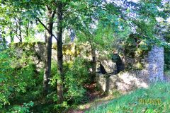BURGRUINE_LEIENFELS_021