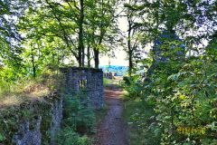 BURGRUINE_LEIENFELS_022