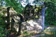 BURGRUINE_LEIENFELS_023