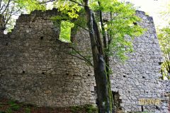 BURGRUINE_POPPBERG_017