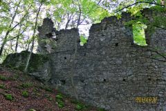 BURGRUINE_POPPBERG_018