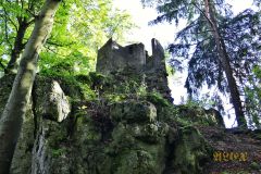 BURGRUINE_POPPBERG_020