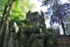 BURGRUINE_POPPBERG_020