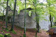 BURGRUINE_POPPBERG_023