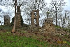 BURGRUINE_STECKLENBURG_003