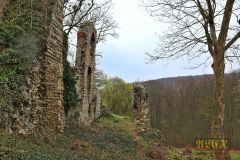 BURGRUINE_STECKLENBURG_005