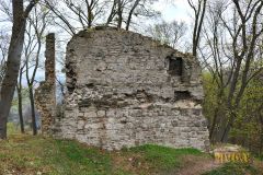 BURGRUINE_STECKLENBURG_011