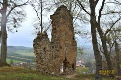 BURGRUINE_STECKLENBURG_012