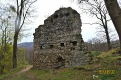 BURGRUINE_STECKLENBURG_013