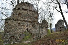 BURGRUINE_STECKLENBURG_015