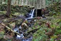 KLEINER_WASSERFALL_007