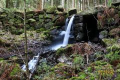 KLEINER_WASSERFALL_009