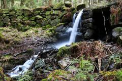 KLEINER_WASSERFALL_010