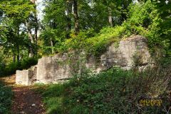 RUINE_ASSEBURG001