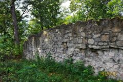 RUINE_ASSEBURG006