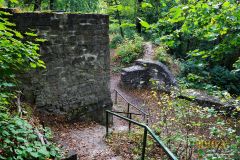 RUINE_ASSEBURG019