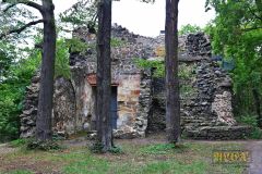 RUINE_PILLNITZ026