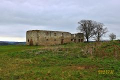 RUINE_TOPPENDORF_028