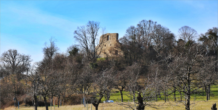 Burgruine Stapelburg